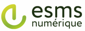 Logo ESMS numérique